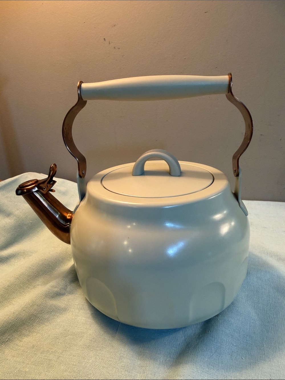 Hearth& Hand Magnolia Stainless whistling tea pot 🫖 kettle sage green